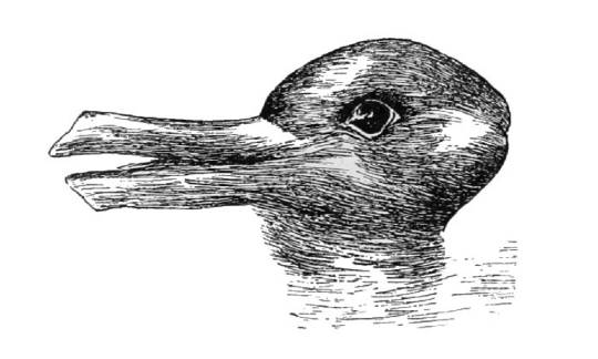 Do You See A Duck Or A Rabbit: Just What Is Aspect Perception?