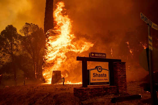 A "Perfect Storm" Of Factors Is Making Wildfires Bigger And More Expensive To Control