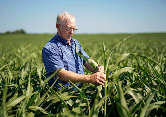 Farmers and agricultural economists worry that Trump’s trade policies will cost farms billions of dollars 