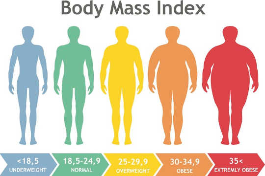 There are many types of obesity so which one matters to your health: Body mass index