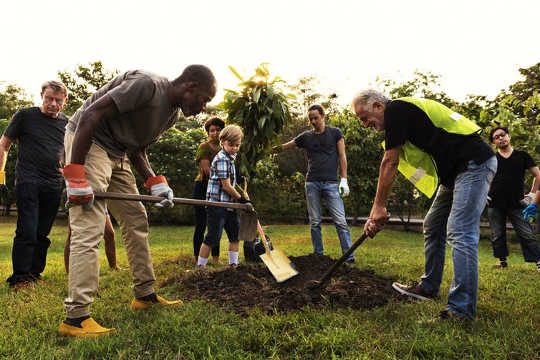 Community activities such as gardening are a key way that green spaces can address loneliness. (How green spaces help combat loneliness)