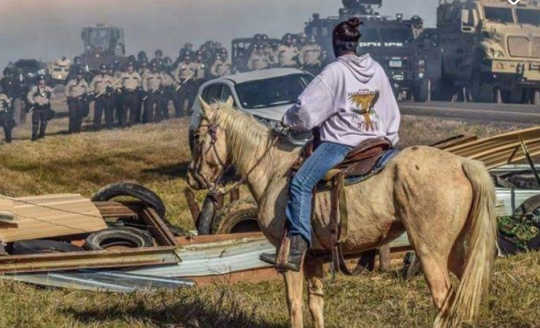 A Native American protester faces police at Standing Rock Reservation in 2016. The campaign against the $3.8bn Dakota access pipeline continues. (The radical story of the native american liberation movement)