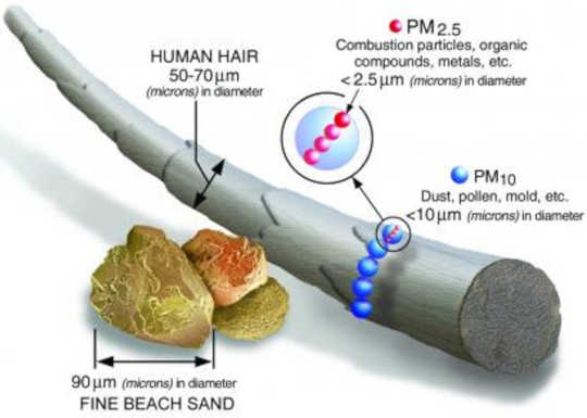 The average human hair is about 70 micrometers in diameter – 30 times larger than the largest fine particle. (fine particle air pollution is a public health emergency hiding in plain sight)