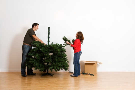 Don't Stress The Kind Of Christmas Tree To Buy If You Reuse Or Compost