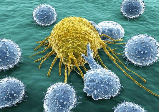How Weaponizing The Body's Immune System Can Deliver A Cure For Cancer