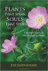 Plants That Speak, Souls That Sing: Transform Your Life with the Spirit of Plants by Faye Johnstone.