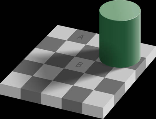 Checker shadow illusion. (why we are not as stupid as we have been led to believe)