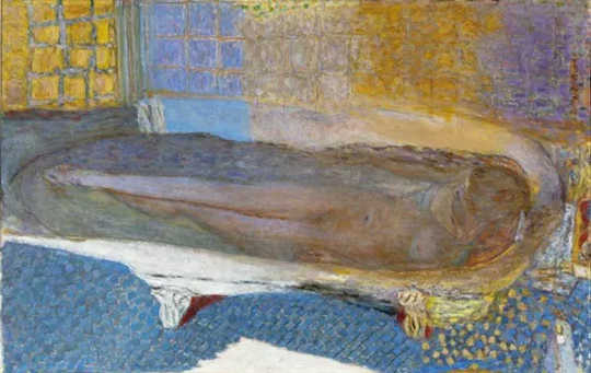 Pierre Bonnard, Nude in the Bath (Nu dans le bain) (the surprising reasons we love art)
