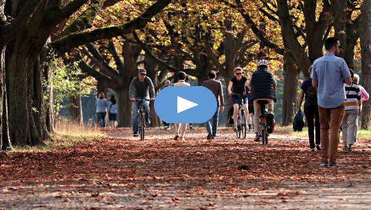 people walking and bicycling through a park