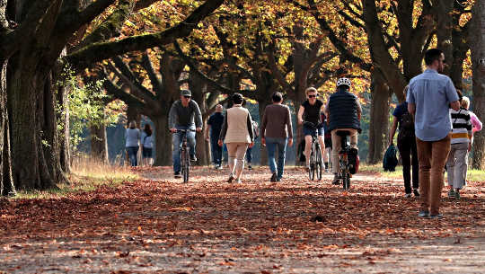 people walking and bicycling through a park