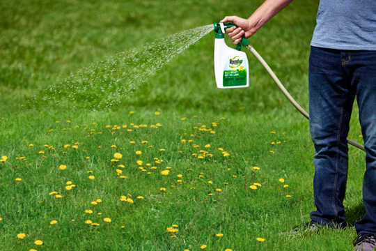 This Common Weed Killer Ups Risk Of Some Cancers By 40%