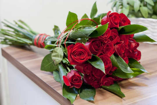 5 Ways To Ensure Your Flowers Are ethical For Valentine’s Day
