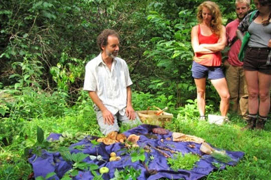 Why Foraging For Free Is Food For The Soul
