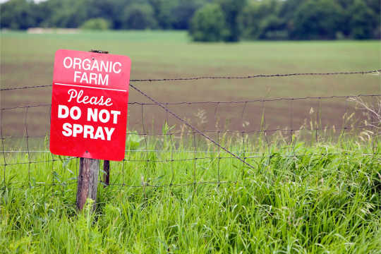 What Is The Risk Of Genetically Engineered Pesticides That Hang Out In The Soil?