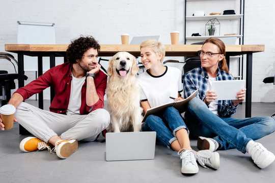 Why More Companies Are Going Dog Friendly