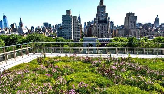 Big Cities Go Green To Fight Against Climate Change