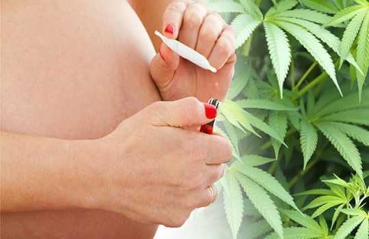 Does Cannabis During Pregnancy Raise Child’s Psychosis Risk?