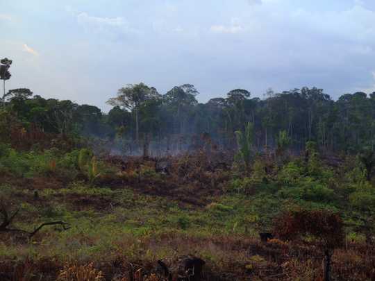 How Fires Weaken Amazon Rainforests' Ability To Bounce Back