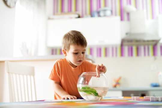 Your Preschooler's Forgetfulness Isn't Bad Behavior and Nagging Them Won't Help