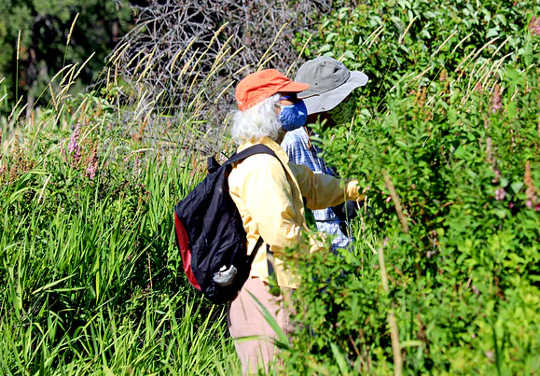 Older adults are learning to cope with social distancing restrictions; here, a couple on a hike, wearing masks. 