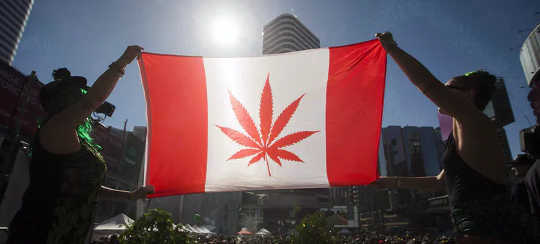 Reason Canada's Legalization Of Cannabis Is A Success