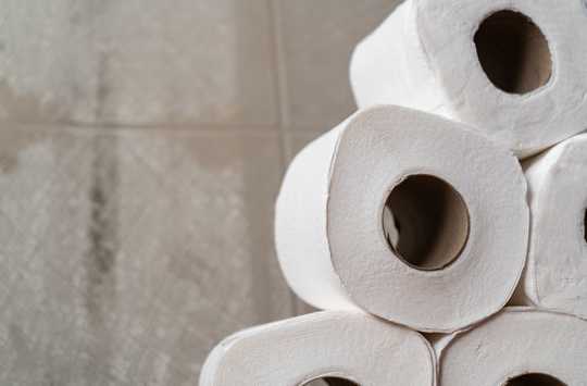 A Toilet Paper Run Is Like A Bank Run And The Economic Fixes Are About The Same