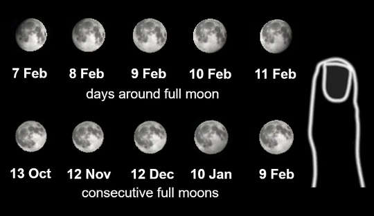 Size comparisons of the Moon for consecutive days and full moons.