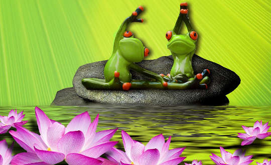 two frogs doing yoga sitting on a lily pad