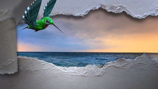 A hummingbird breaking through to freedom