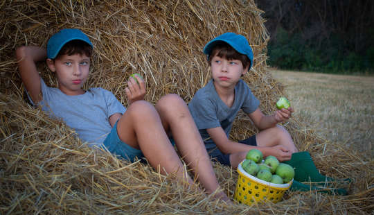 two young boys who were picking apples sitting by a haystack