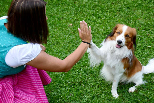 a dog giving a young girl a "high-five"