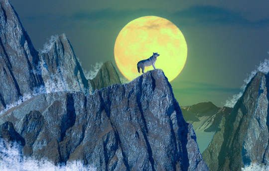a wolf standing on top of a mountain in front of a full moon