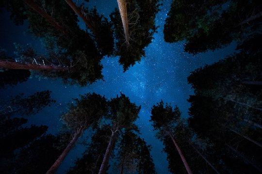 nighttime sky in Yosemite Valley
