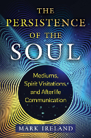 book cover of: The Persistence of the Soul by Mark Ireland.