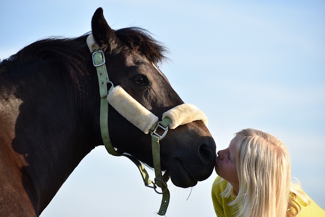 young girl kissing a horse on the nose