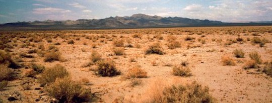 How To Green the Deserts & Reverse Climate Change