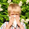 How To Avoid Allergies In Your Child