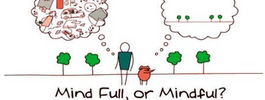 Pursuit of Wisdom Through Mindfulness