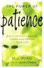 The Power of Patience: How This Old-Fashioned Virtue Can Improve Your Life by M.J. Ryan.