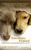 Goodbye, Friend: Healing Wisdom for Anyone Who Has Ever Lost a Pet by Gary Kowalski.