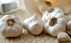 Can Garlic Offer Brain Cells Protection against Aging and Disease?