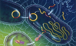 How Parasites And Bacteria Could Be Changing The Way You Think And Feel