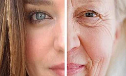 Narrowing In On The Theory Of Aging