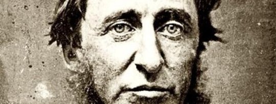 Thoreau's Record Keeping At Walden Pond Give Glimpse Of Changes