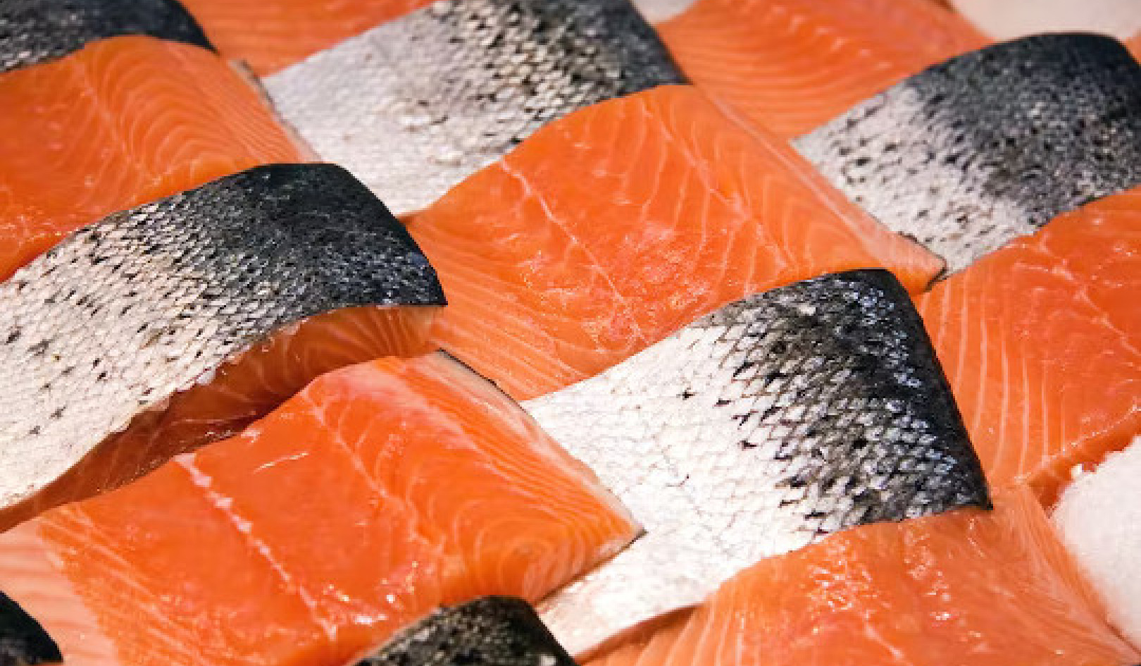 Color of Farmed Salmon Comes from an Antioxidant in Their Feed