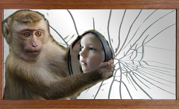 monyet memegang cermin yang memantulkan seorang anak