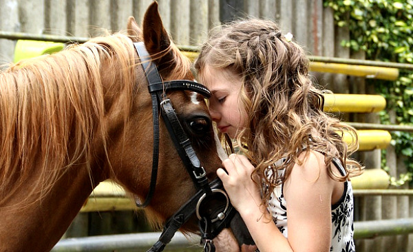 seorang gadis muda menyandarkan mukanya pada dahi kuda
