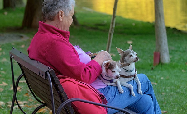 Eine weißhaarige Frau sitzt draußen mit zwei kleinen Hunden auf dem Schoß