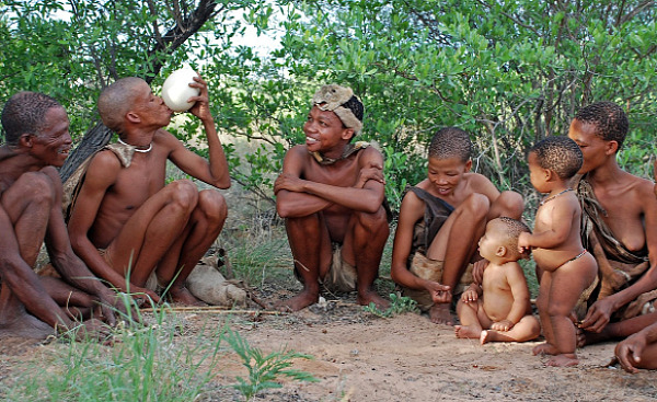 博茨瓦纳的一群布斯曼人。