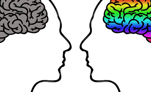 obrazy dwóch mózgów: jednego kolorowego i jednego matowo brązowego